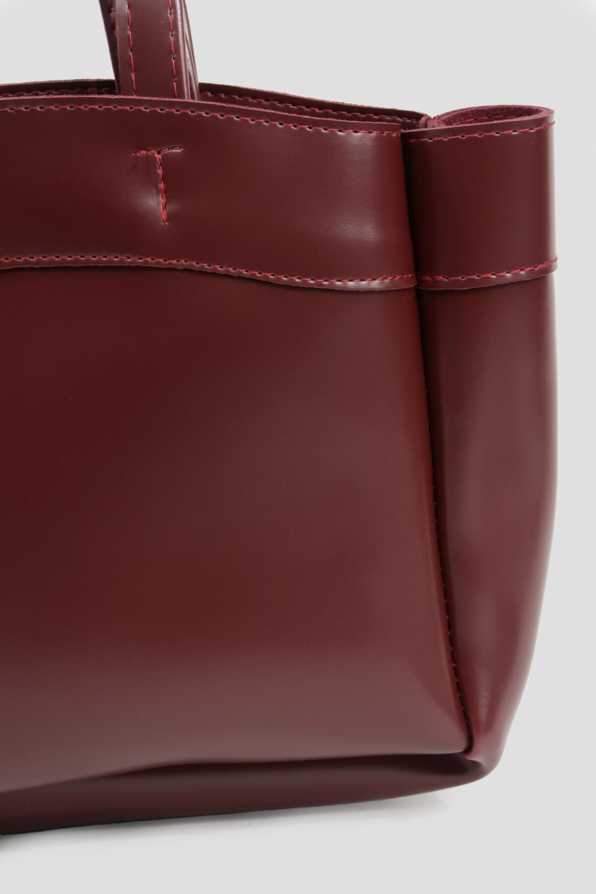 Higgs Burgundy Bag