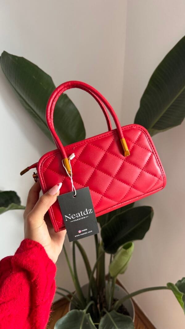Celina Red Bag