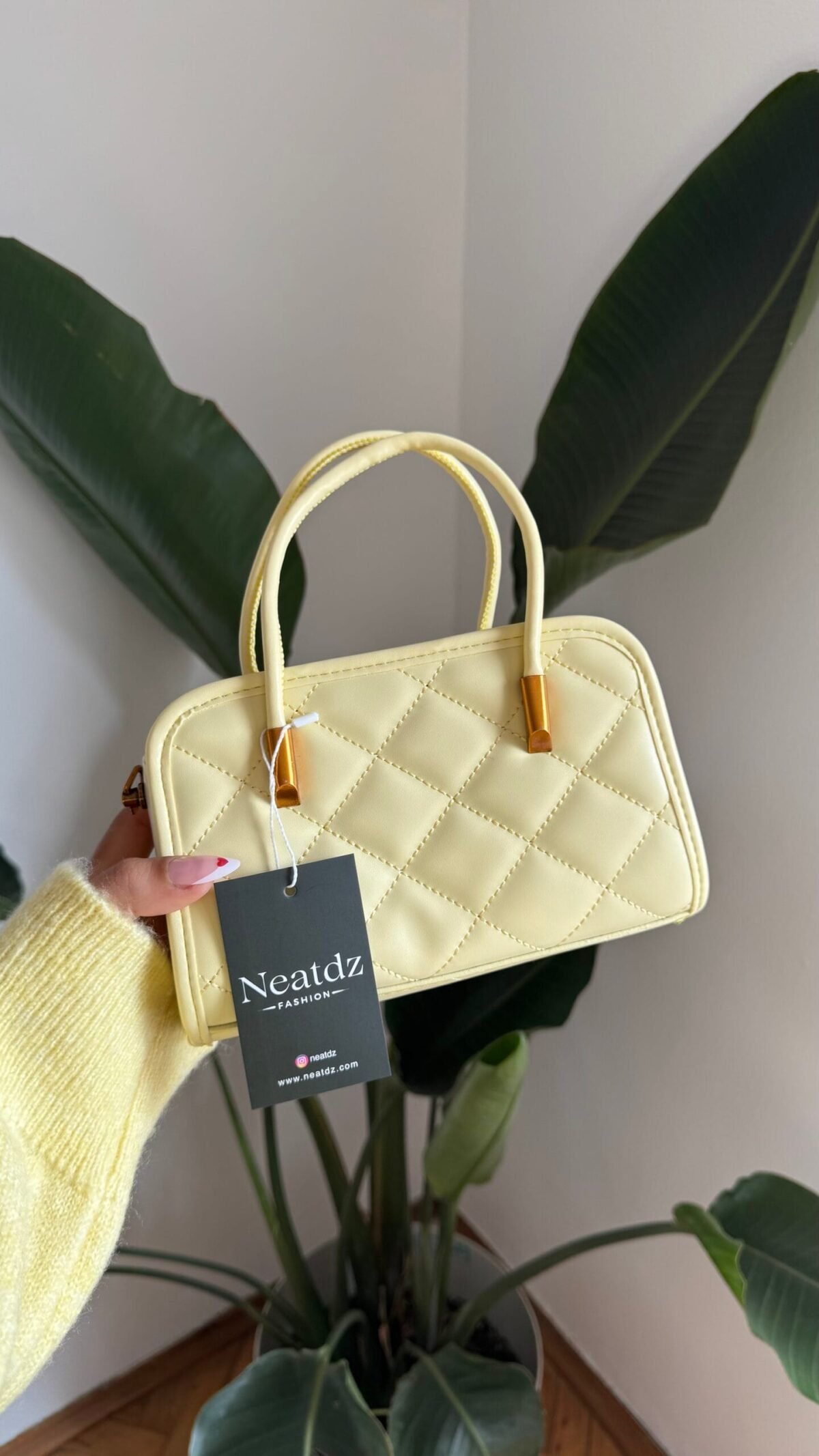 IMG_7566 Celina Yellow Bag