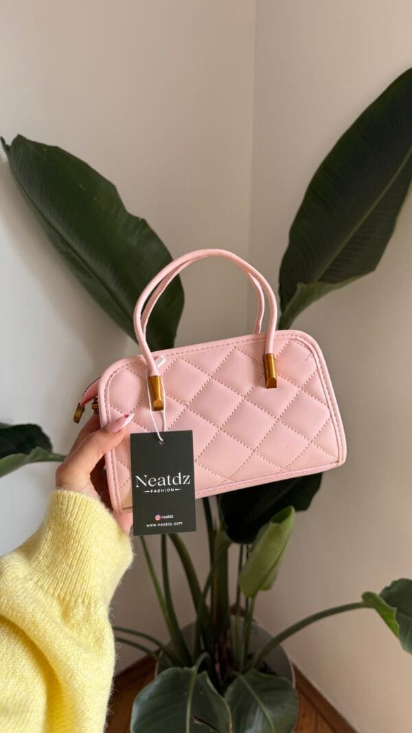 Celina Baby Pink Bag