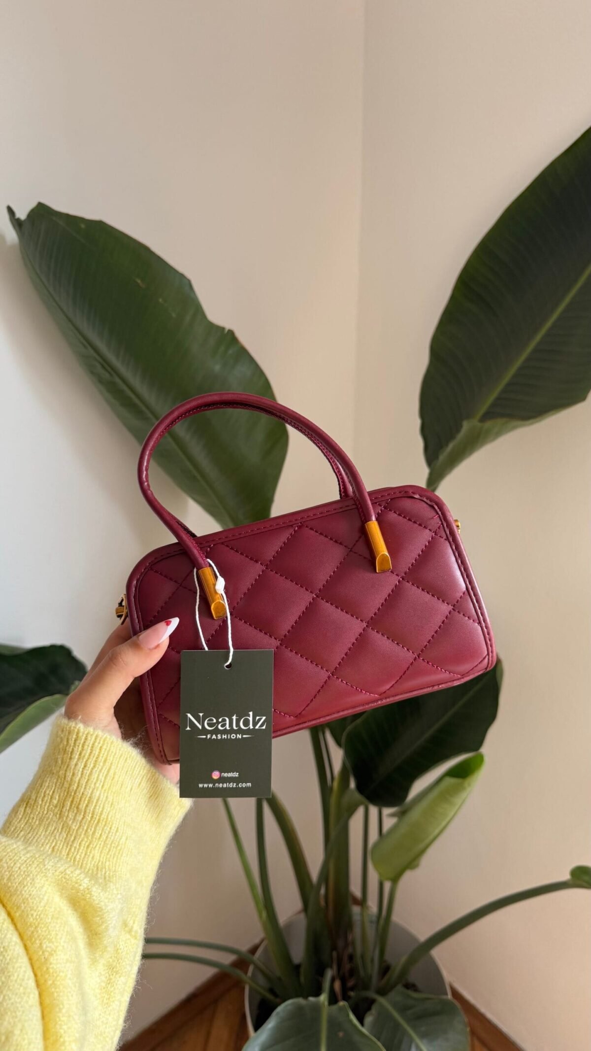 IMG_7572 Celina Burgundy Bag