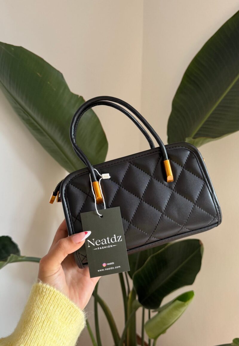 Celina Black Bag