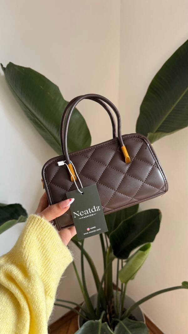 Celina Dark Brown Bag