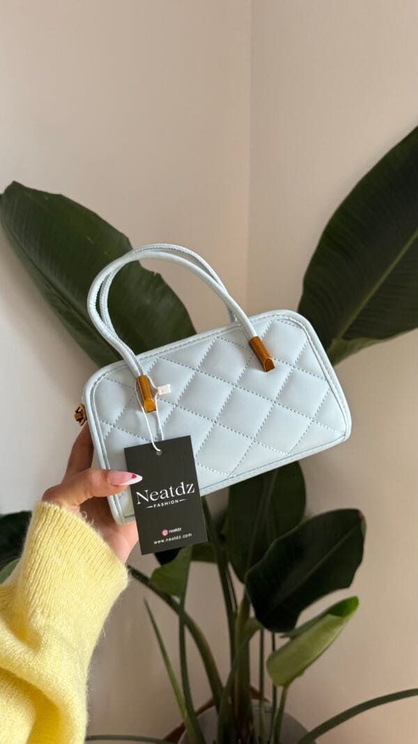 Celina Baby Blue Bag