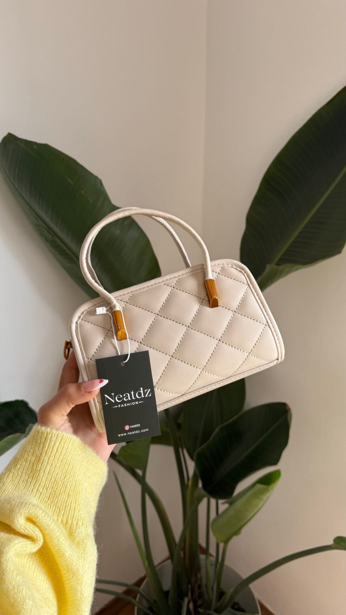 IMG_7583 Celina Beige Bag