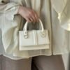 img_0165 Emily Creamy Bag