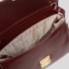img_0401 Swan Burgundy Bag