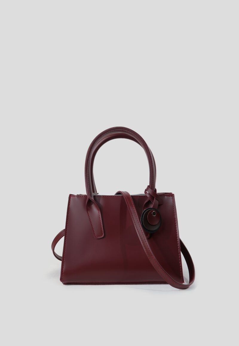 Daisey Burgundy Bag