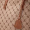 Claude Camel Bag