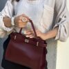 Liora Burgundy Bag