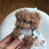 Bear Plush Brown Charm