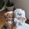 Bear Plush White Charm