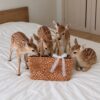 Valery Suede Bag + Charm